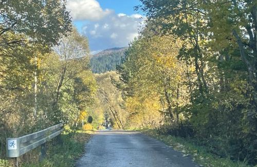 Cisna Apartment | Apartament Ciśnianka