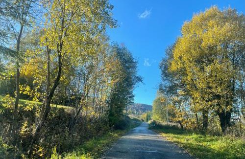 Cisna Apartment | Apartament Ciśnianka