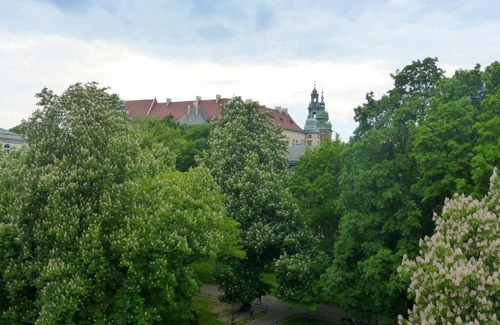 Stradom Apartment | Apartament Gertrudy Green