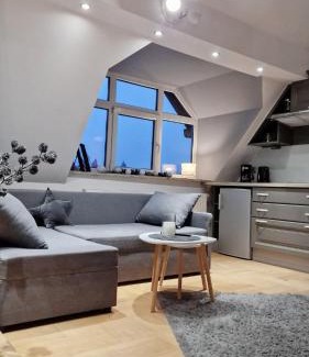 Krynica-Zdroj Apartment | Apartament Gwiazda 503