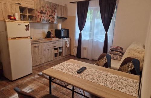 Jibert Apartment | Apartament Ionela