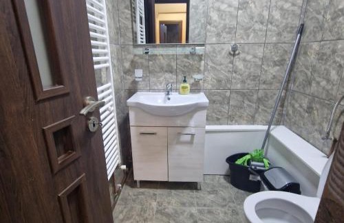 Curtea De Arges Apartment | Apartament Iulius 3 Manastire