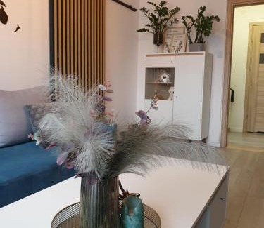 Ilawa Apartment | Apartament Kościuszki Iława