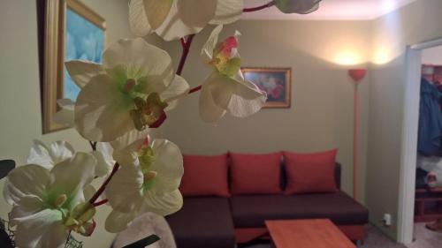 Augustow Apartment | Apartament Konopnicka