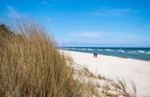 Jastarnia Apartment | Apartament Leśny Ogród - kompleks Wydma & Las - 200 m do Morza, widok na sosnowy las, leśny ogród o pow 160 m2, bezpłatny parking, faktura VAT, ochrona, plac zabaw, boisko wielofunkcyjne