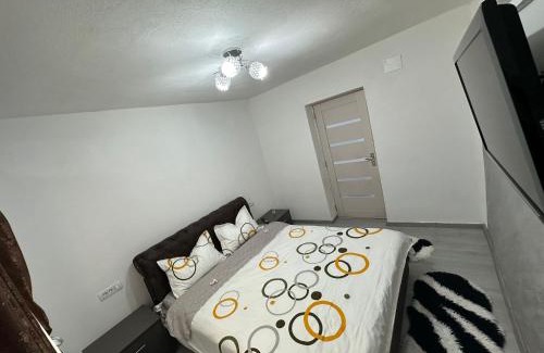 Tirgu Jiu Apartment | Apartament Luca
