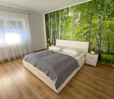 Medias Apartment | Apartament NALA