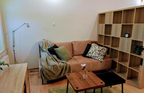 Srodmiescie Apartment | Apartament OLIWKOWY Świętoduska 12