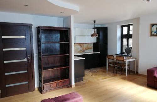 Bydgoszcz Apartment | Apartament pod Starym Dębem
