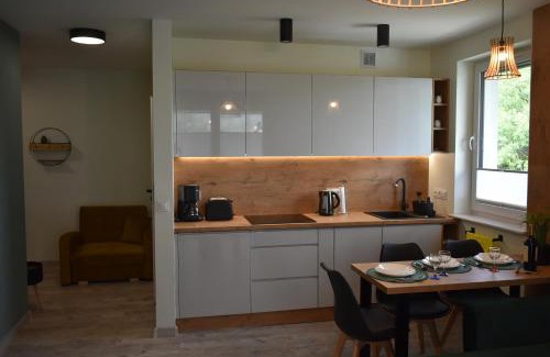 Swieradow-Zdroj Apartment | Apartament RESTO
