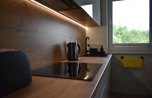 Swieradow-Zdroj Apartment | Apartament RESTO