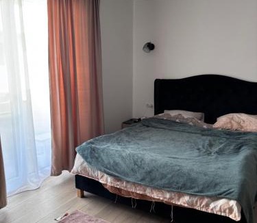 Bistrita Apartment | Apartament