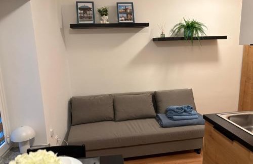 Tarnow Apartment | Apartament Rybna 1 Centrum