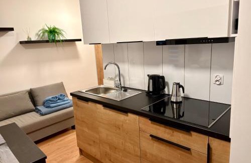 Tarnow Apartment | Apartament Rybna 1 Centrum