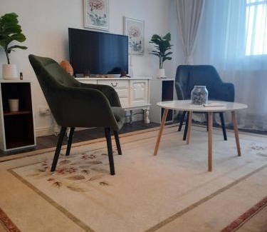 Fagaras Apartment | Apartament Thea