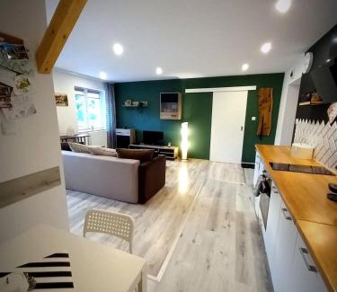 Swieradow-Zdroj Apartment | Apartament u Edka przy Dolnej