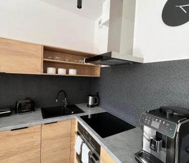 Lesko Apartment | Apartament w Dolinie Sanu