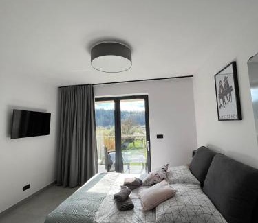 Lesko Apartment | Apartament w Dolinie Sanu