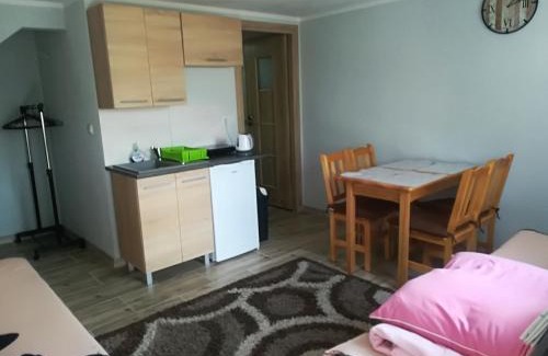 Solina Apartment | APARTAMENT z aneksem kuchennym BARBARKI