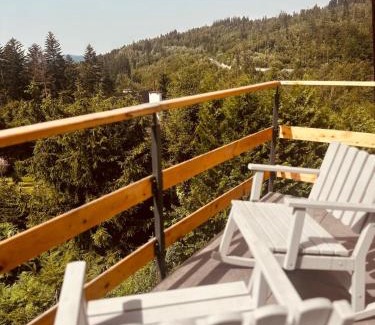 Wisla Apartment | Apartament z sauną i jacuzzi na wyłączność - Sikorówka - Dobre Miejsce