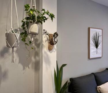 Pontevedra Old Town Apartment | Apartamento A Tixola ,Casco Histórico