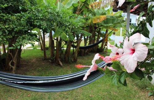 Ingleses do Rio Vermelho Apartment | Apartamento com Piscina Perto da Praia