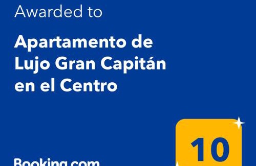 Centro Comercial Apartment | Apartamento de Lujo Gran Capitán en el Centro