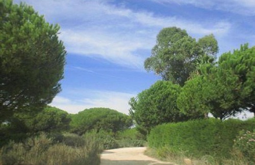 Conil de la Frontera Apartment | Apartamento El Ancla II