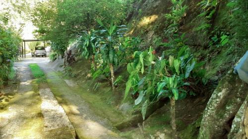 Monte Castelo Apartment | Apartamento em Chácara Aconchegante - Kitnet