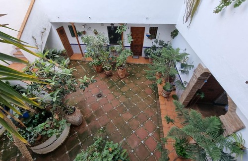 San Basilio Apartment | APARTAMENTO ENTRE PATIOS SAN BASILIO