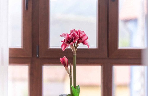 Andrin Apartment | Apartamento Planta Primera