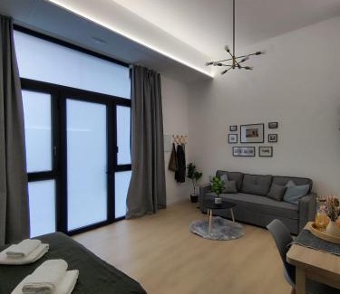 Algiros Apartment | Apartamento Río Turia Pingüino