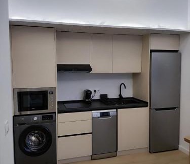Algiros Apartment | Apartamento Río Turia Pingüino