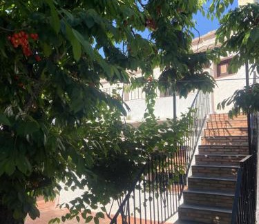 Capileira Apartment | Apartamentos CerroNegro