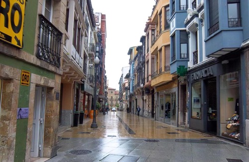 Aviles Apartment | Apartamentos Entrepalacios