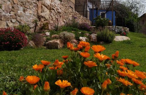 Cabanas del Castillo Apartment | Apartamentos bioclimáticos El Mirlo Azul
