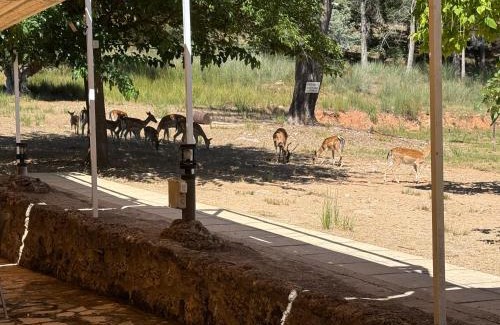 La Iruela Apartment | Apartamentos Rurales el Chaparral