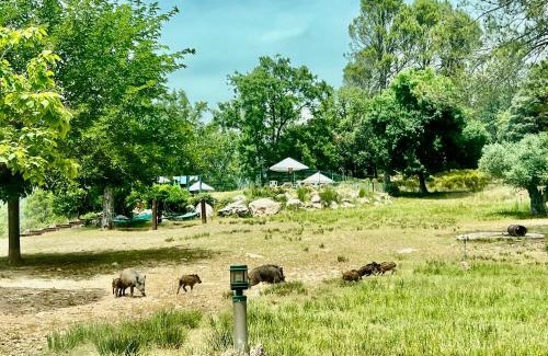 La Iruela Apartment | Apartamentos Rurales el Chaparral