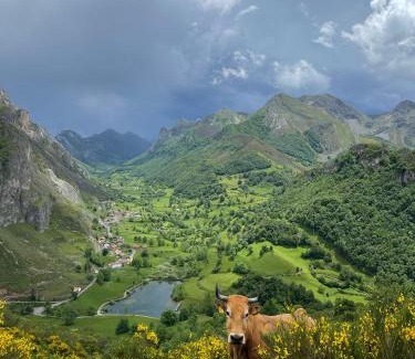 Valle de Lago Apartment | Apartamentos Rurales La Laguna Somiedo