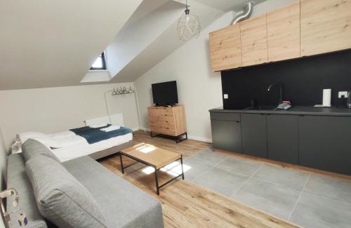 Tarnow Apartment | Apartamenty na Rynku Tarnów