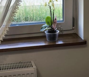 Zgorzelec Apartment | Apartamenty Stara Cegła