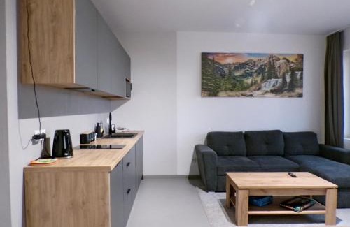 Male Ciche Apartment | Apartamenty u Załogi