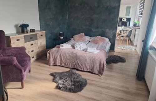 Ilawa Apartment | Apartamenty Zofia