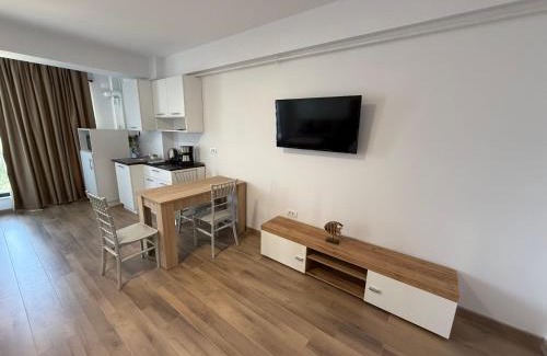 Techirghiol Apartment | Aparthotel Studio