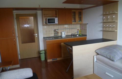 Donovaly Apartment | Apartmán Almet 102
