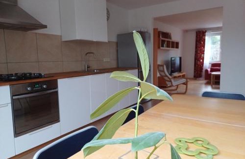 Pribram House | Apartmán Dvořák 194 pod Svatou horou