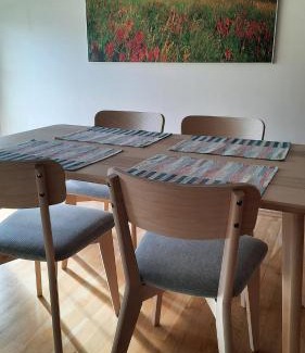 Hostka Apartment | Apartmán Franz Josef