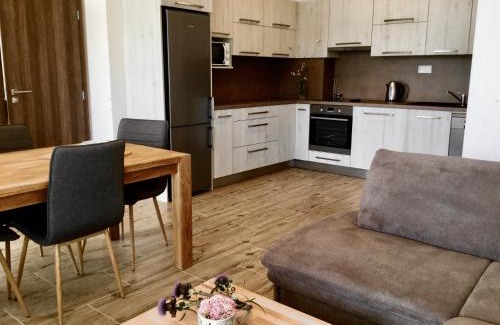Vitkovice Apartment | Apartmán Horní Mísečky 437