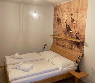 Karlova Studanka Apartment | Apartmán Hubertus No 2