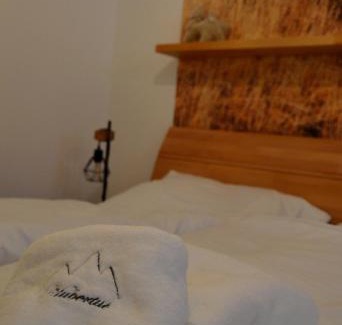 Karlova Studanka Apartment | Apartmán Hubertus No 2